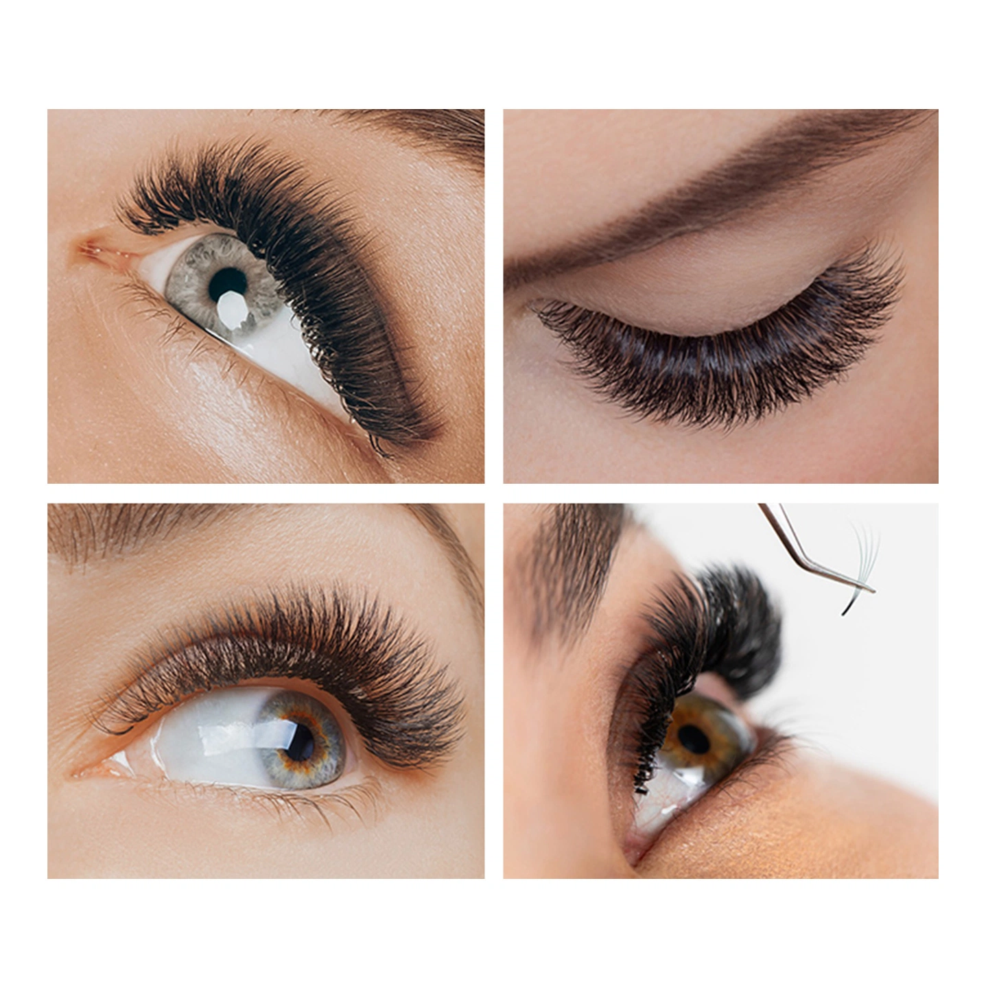 Easy Fanning application look