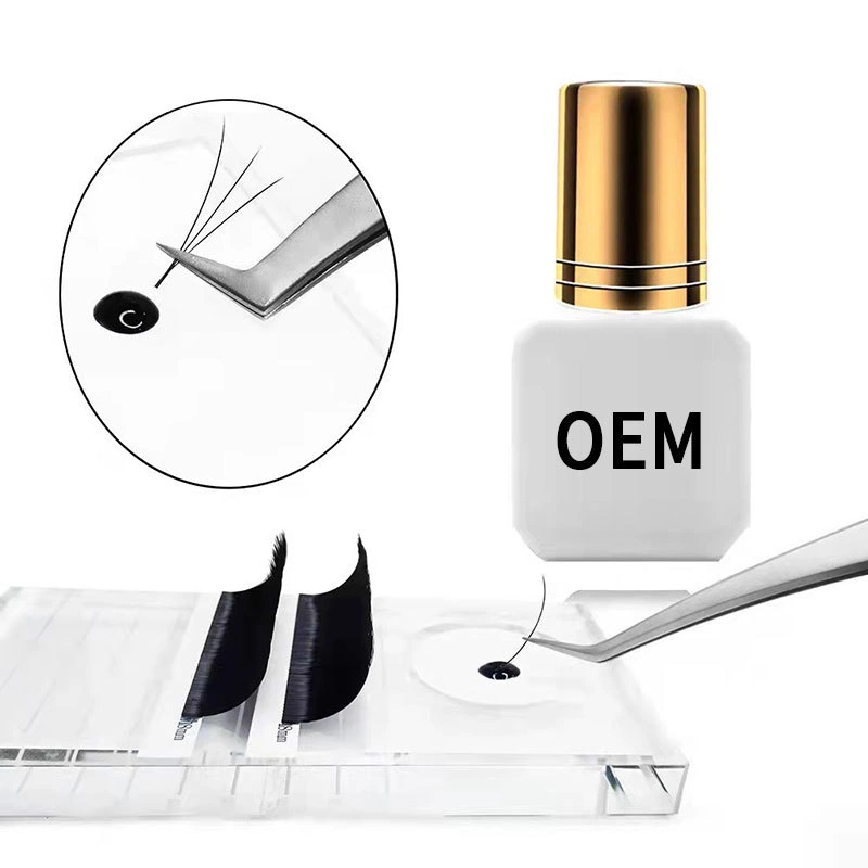 Lash Extension Glue